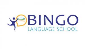 bingo-szkoła, logo, projekty, dla firm, grafika komputerowa, freelancer, identyfikacja wizualna, nowoczesne strony internetowe